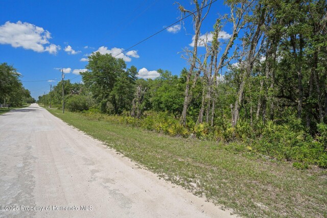 8184 Chimney Rock Dr, Webster, FL 33597