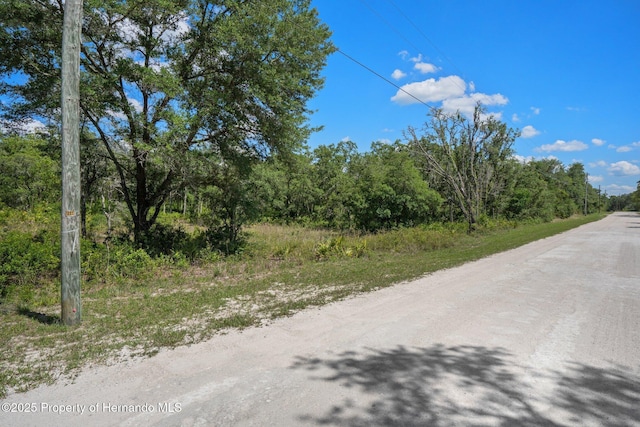 8184 Chimney Rock Dr, Webster, FL 33597