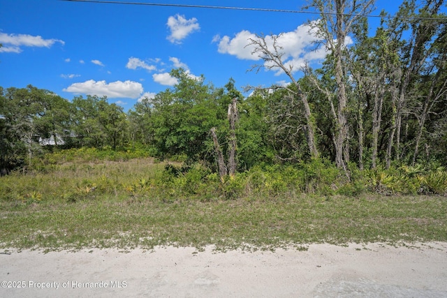 8184 Chimney Rock Dr, Webster, FL 33597