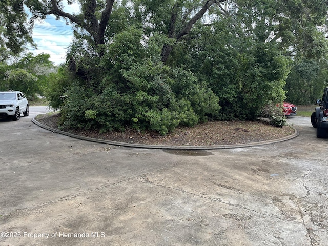 view of concrete road with curbs
