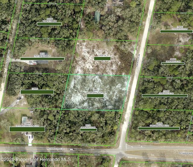 0 Knoxville Dr, Ridge Manor, FL 33597