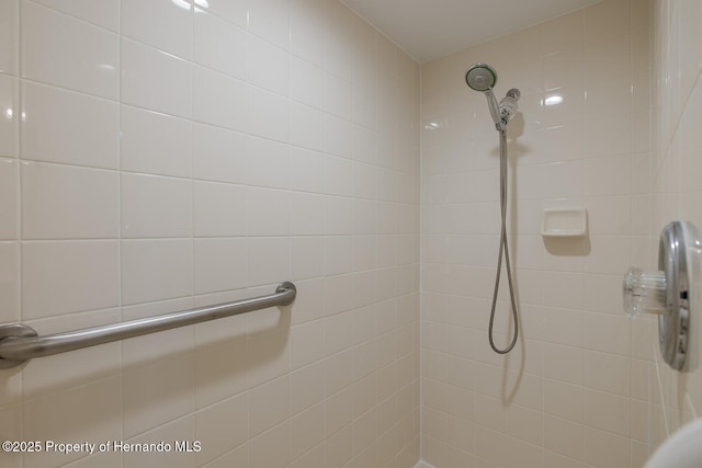 284 Quane Ave, Spring Hill, FL 34609 - full bath with tiled shower