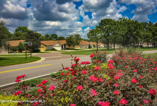 284 Quane Ave, Spring Hill, FL 34609 - view of community with a yard and a residential view