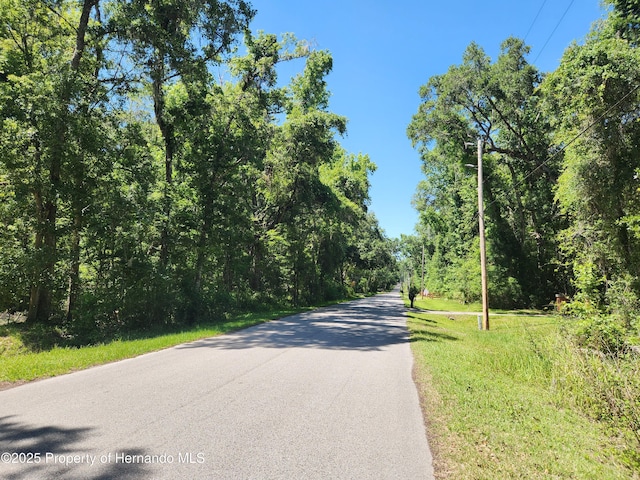 0 Royal Dr, Brooksville, FL 34601 - photo 1