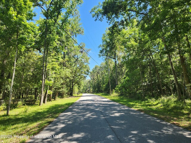 0 Royal Dr, Brooksville, FL 34601 - photo 2