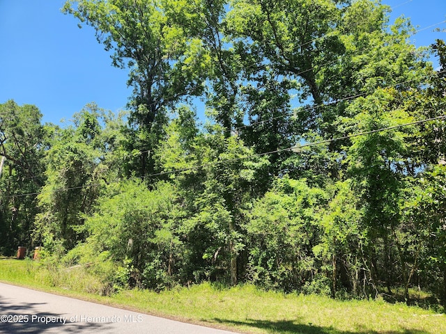 0 Royal Dr, Brooksville, FL 34601 - photo 4