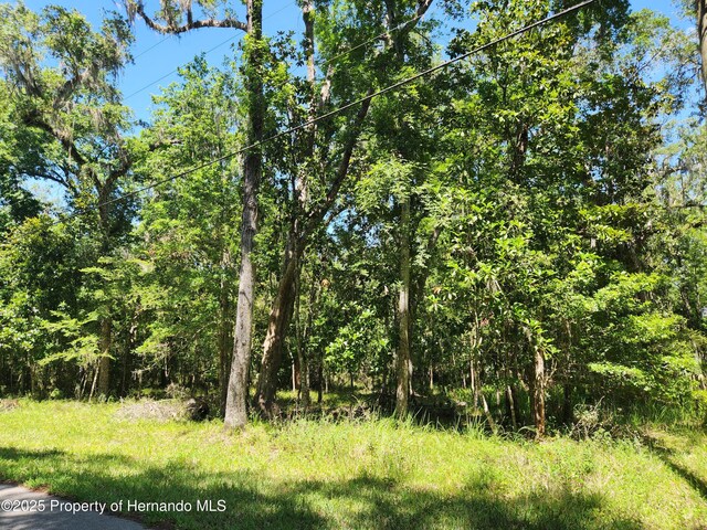 0 Royal Dr, Brooksville, FL 34601 - photo 5