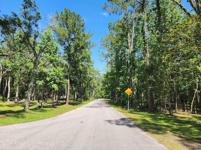 0 Royal Dr, Brooksville, FL 34601 - photo 8