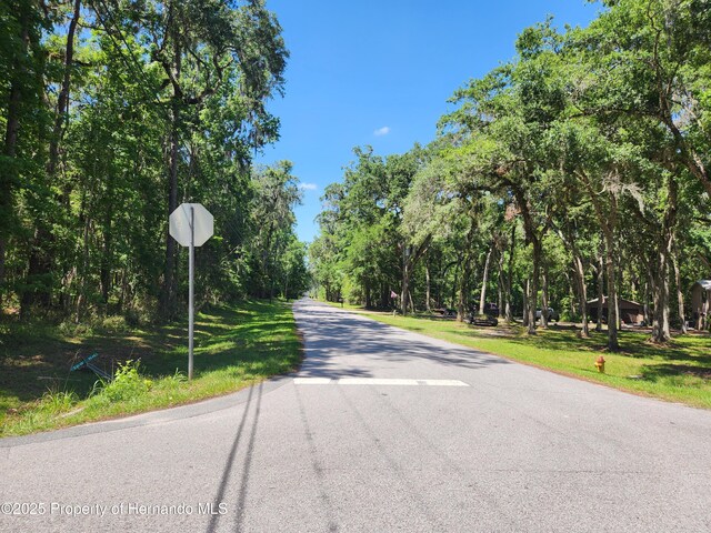 0 Royal Dr, Brooksville, FL 34601 - photo 9