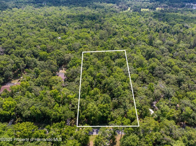 0 Royal Dr, Brooksville, FL 34601 - photo 13