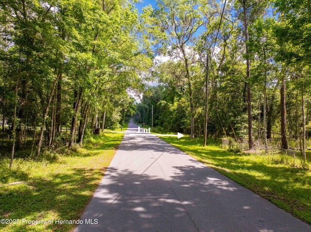 0 Royal Dr, Brooksville, FL 34601 - photo 14