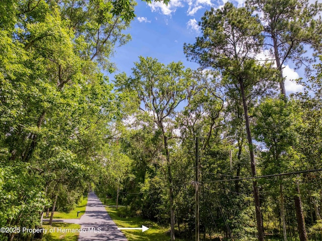 0 Royal Dr, Brooksville, FL 34601 - photo 15