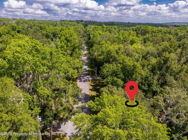 0 Royal Dr, Brooksville, FL 34601 - photo 16
