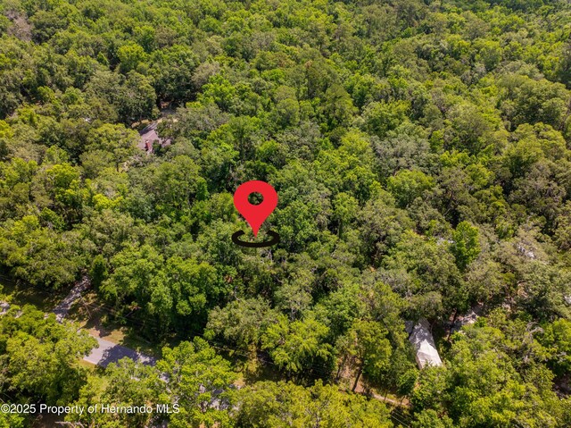 0 Royal Dr, Brooksville, FL 34601 - photo 18