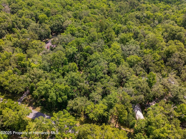 0 Royal Dr, Brooksville, FL 34601 - photo 19