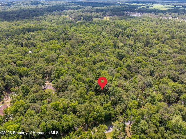 0 Royal Dr, Brooksville, FL 34601 - photo 20