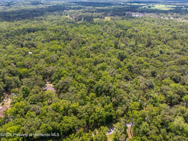 0 Royal Dr, Brooksville, FL 34601 - photo 21
