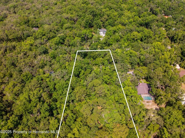 0 Royal Dr, Brooksville, FL 34601 - photo 23