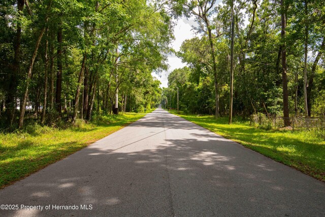 0 Royal Dr, Brooksville, FL 34601 - photo 24