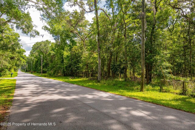 0 Royal Dr, Brooksville, FL 34601 - photo 25