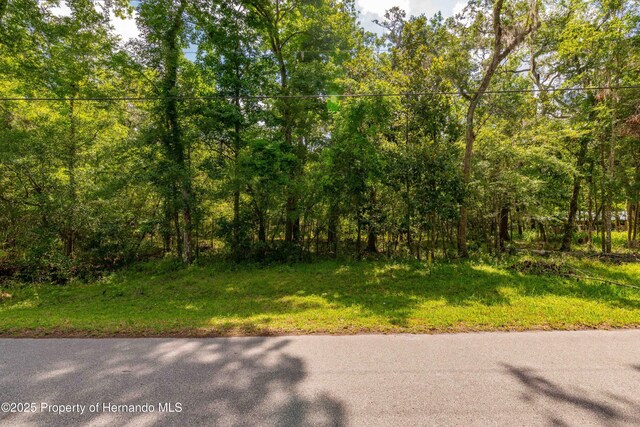 0 Royal Dr, Brooksville, FL 34601 - photo 26