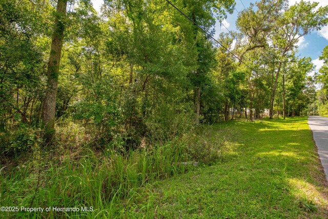 0 Royal Dr, Brooksville, FL 34601 - photo 27