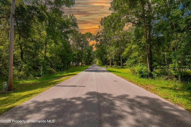 0 Royal Dr, Brooksville, FL 34601 - photo 28