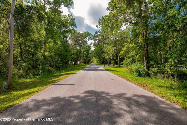0 Royal Dr, Brooksville, FL 34601 - photo 29
