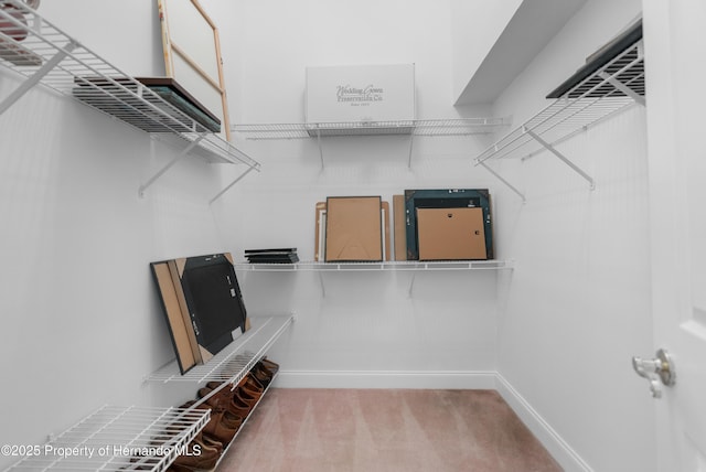 spacious closet featuring carpet flooring