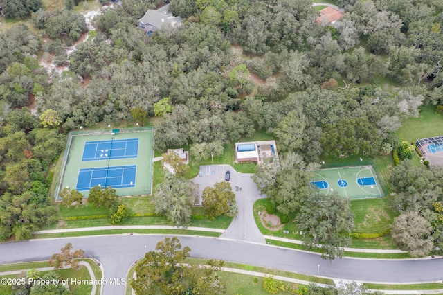 bird's eye view