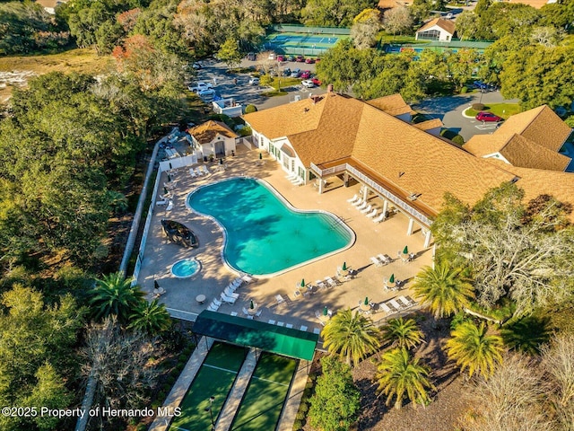 11350 Copley Ct, Spring Hill, FL 34609 - bird's eye view of a pool and a tree filled landscape