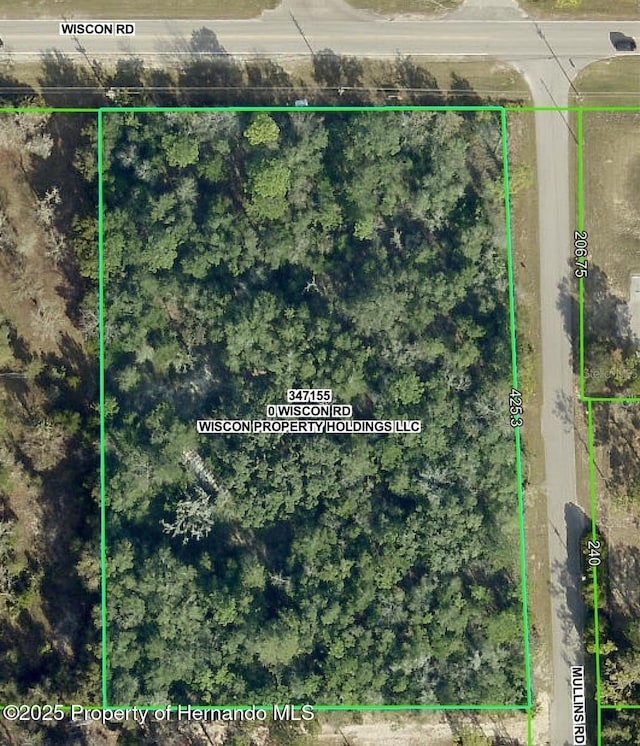 0 Wiscon, Brooksville, FL 34601 - photo 3