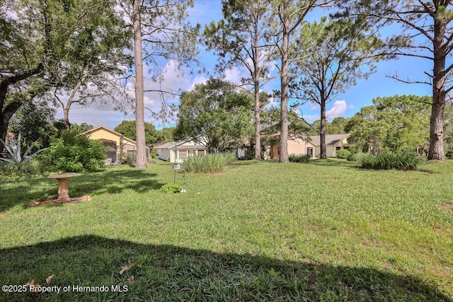 view of grassy yard