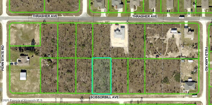 0 Scissorbill Ave, Weeki Wachee, FL 34614