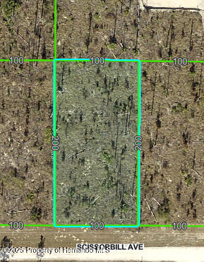 0 Scissorbill Ave, Weeki Wachee, FL 34614