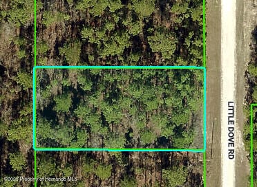 16433 Little Dove Rd, Brooksville, FL 34614