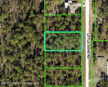 16433 Little Dove Rd, Brooksville, FL 34614