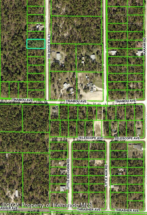 16433 Little Dove Rd, Brooksville, FL 34614