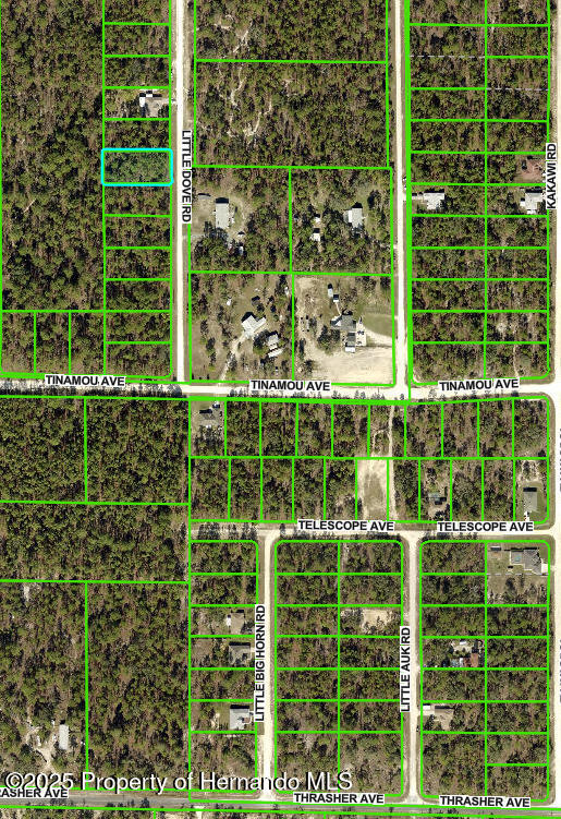 16433 Little Dove Rd, Brooksville, FL 34614