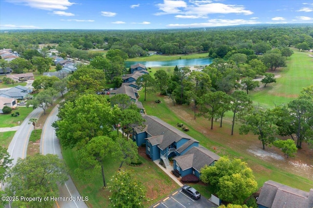 aerial perspective of suburban area featuring a large body of water