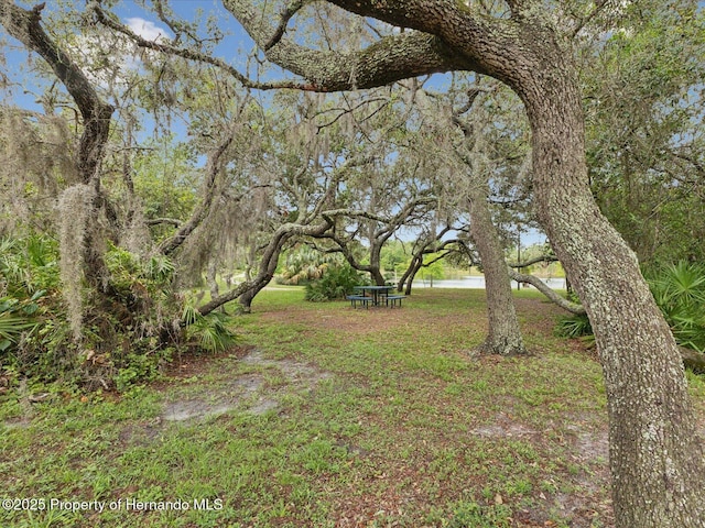 8393 Delaware Dr, Weeki Wachee, FL 34607 - view of grassy yard