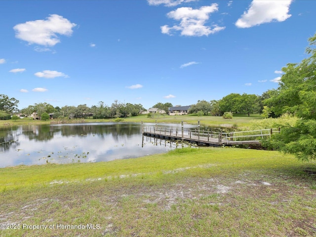 8393 Delaware Dr, Weeki Wachee, FL 34607 - dock area with a water view