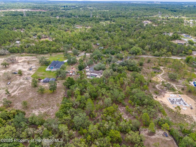 12253 Eskimo Curlew Rd, Brooksville, FL 34614 - view of property location featuring a heavily wooded area