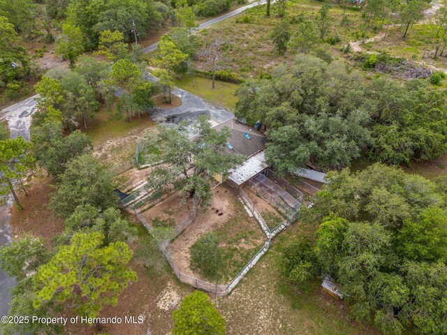 12253 Eskimo Curlew Rd, Brooksville, FL 34614 - aerial overview of property's location