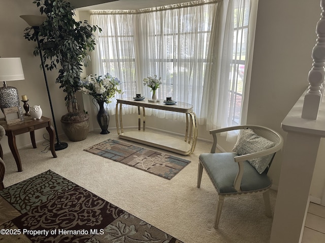 2351 Palm Springs Ct, Spring Hill, FL 34606 - sitting room with carpet floors and baseboards