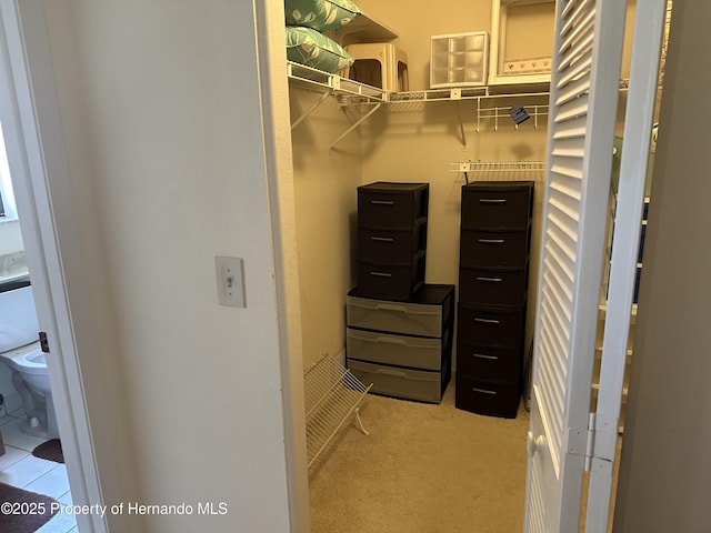 2351 Palm Springs Ct, Spring Hill, FL 34606 - walk in closet with light carpet