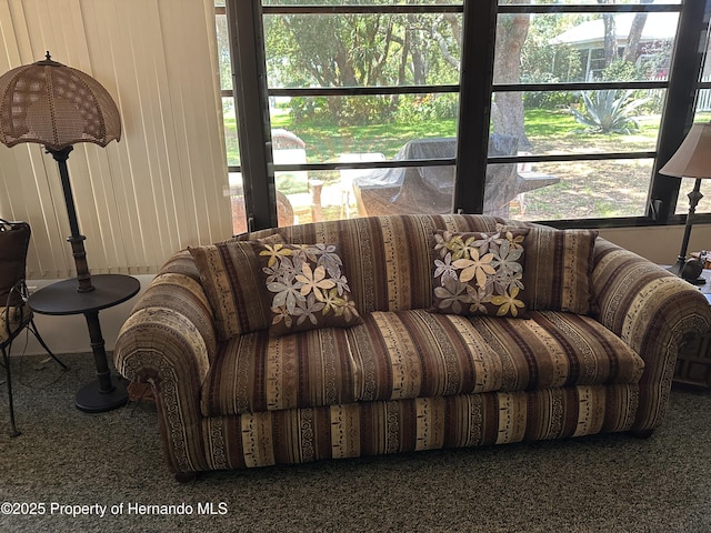 2351 Palm Springs Ct, Spring Hill, FL 34606 - living area featuring carpet floors and plenty of natural light