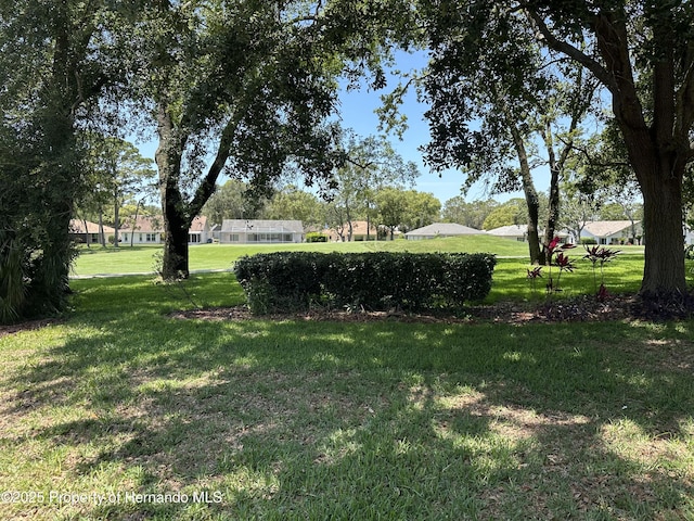2351 Palm Springs Ct, Spring Hill, FL 34606 - view of grassy yard
