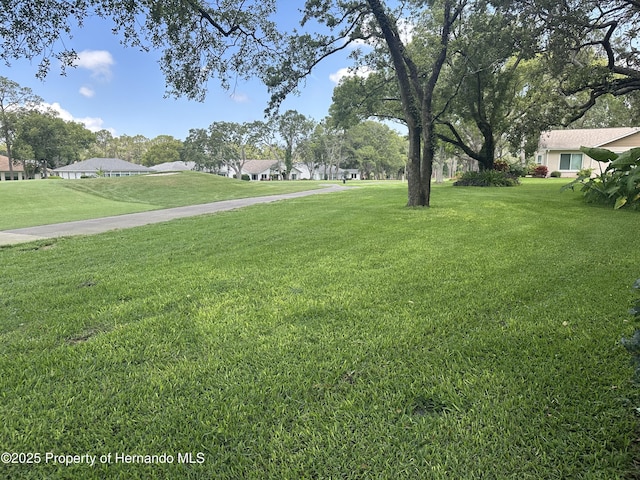 2351 Palm Springs Ct, Spring Hill, FL 34606 - view of green lawn