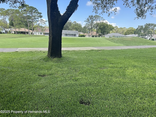 2351 Palm Springs Ct, Spring Hill, FL 34606 - view of home's community featuring a yard and a residential view